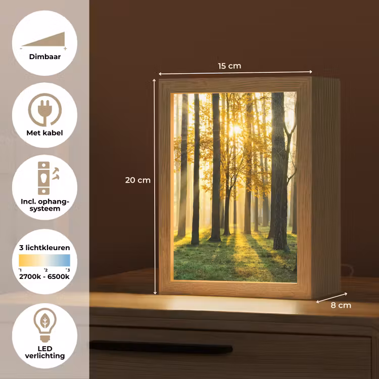 Bos - Zon - Bomen - Gras - Landschap - Natuur Light Box met kabel (Tafellamp) klein -USP_NL