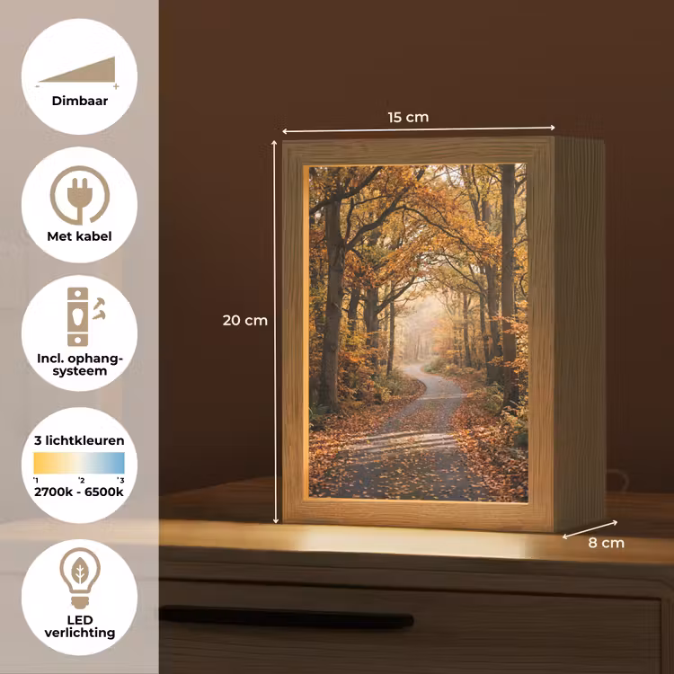 Bospad - Herfstbos - Bladeren - Oranje - Nostalgisch Light Box met kabel (Tafellamp) klein -USP_NL