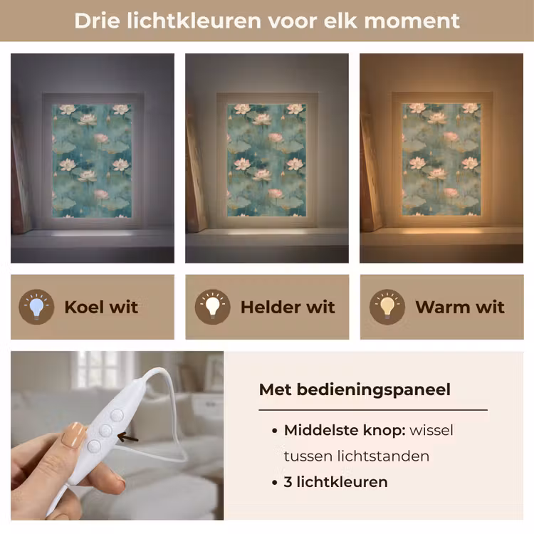 Botanisch - Bloemen - Roze Light Box met kabel (Tafellamp) klein 925 -USP_lichtkleurNL