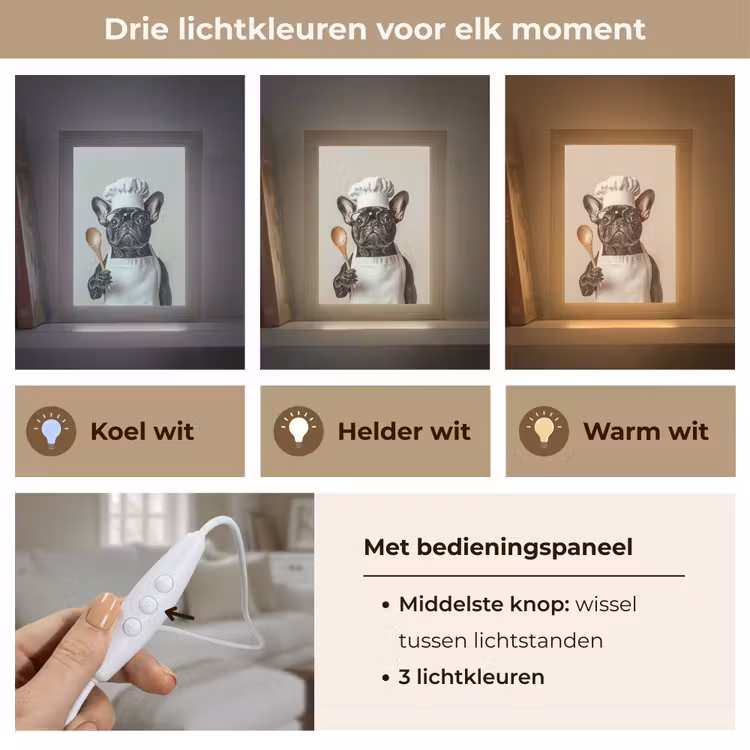Bril - Hond - Kok Light Box met kabel (Tafellamp) klein -USP_lichtkleurNL