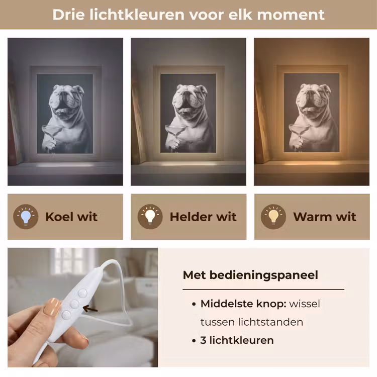 Buldog - Hond - Glas Light Box met kabel (Tafellamp) klein -USP_lichtkleurNL