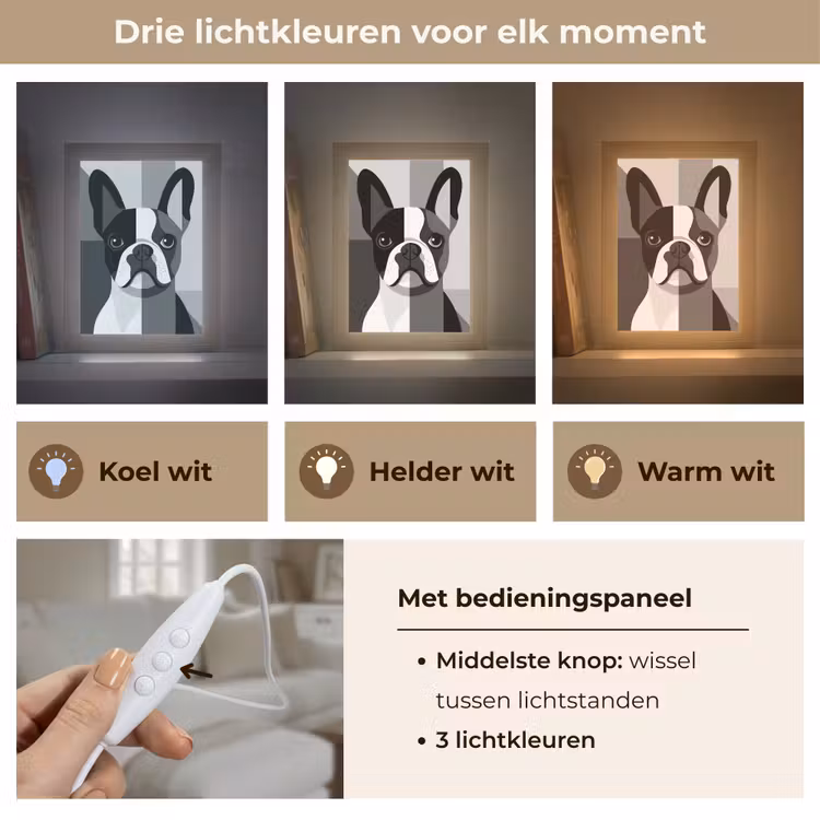 Buldog - Zwart - Abstract - Vlakken Light Box met kabel (Tafellamp) klein -USP_lichtkleurNL