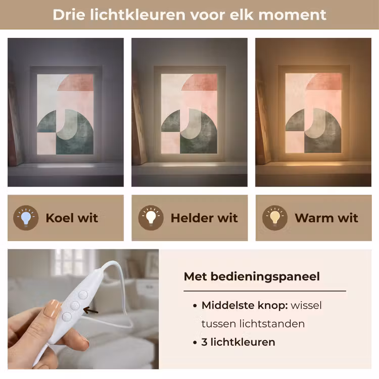 Cirkel - Abstract - Roze Light Box met kabel (Tafellamp) klein -USP_lichtkleurNL