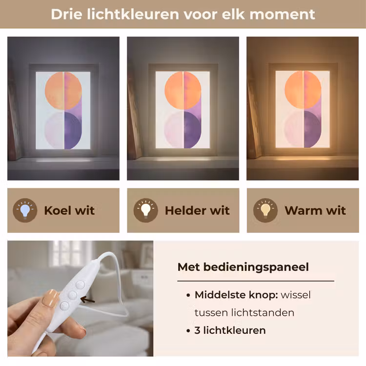 Cirkels - Abstract - Paars Light Box met kabel (Tafellamp) klein -USP_lichtkleurNL