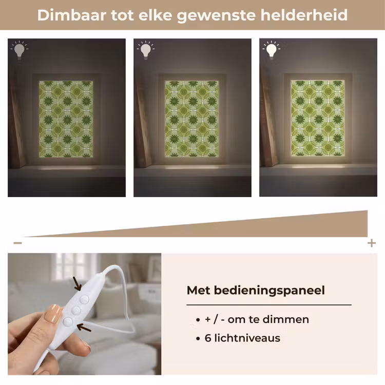 Cirkels - Patroon - Groen Light Box met kabel (Tafellamp) klein 925 -USP_dimbaarNL