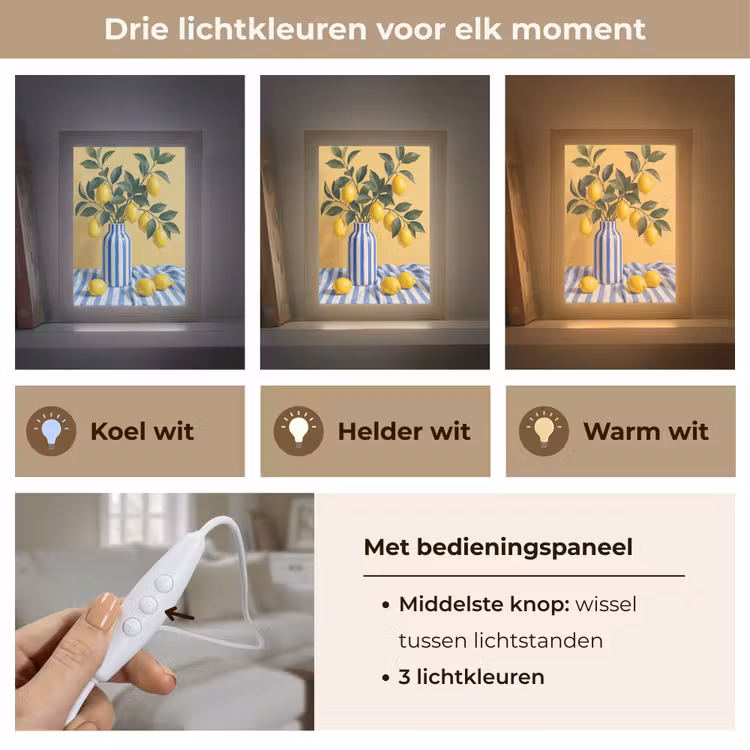 Tafellamp - Citroen - Stilleven - Modern - Citroen - Stilleven - Modern Light Box met kabel (Tafellamp) klein