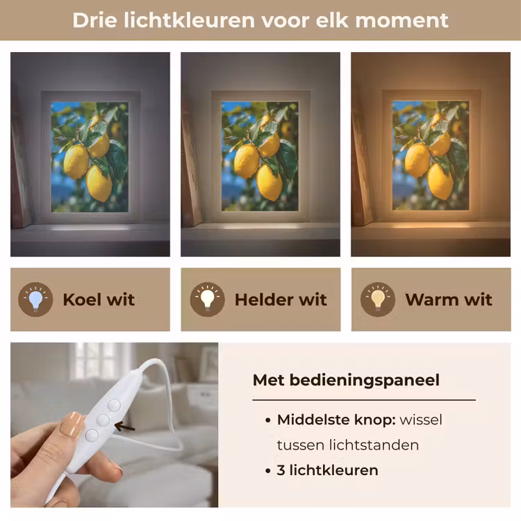 Citroenen - Bladeren - Blauwe lucht Light Box met kabel (Tafellamp) klein -USP_lichtkleurNL