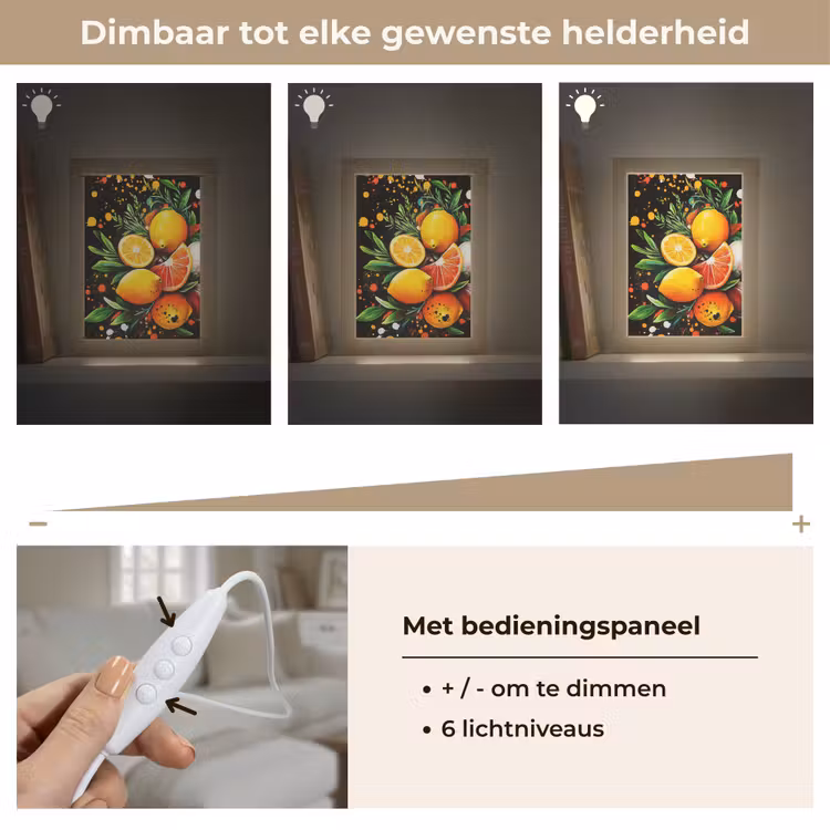 Citroenen - Zwart - Kruiden - Graffiti - Verf Light Box met kabel (Tafellamp) klein -USP_dimbaarNL