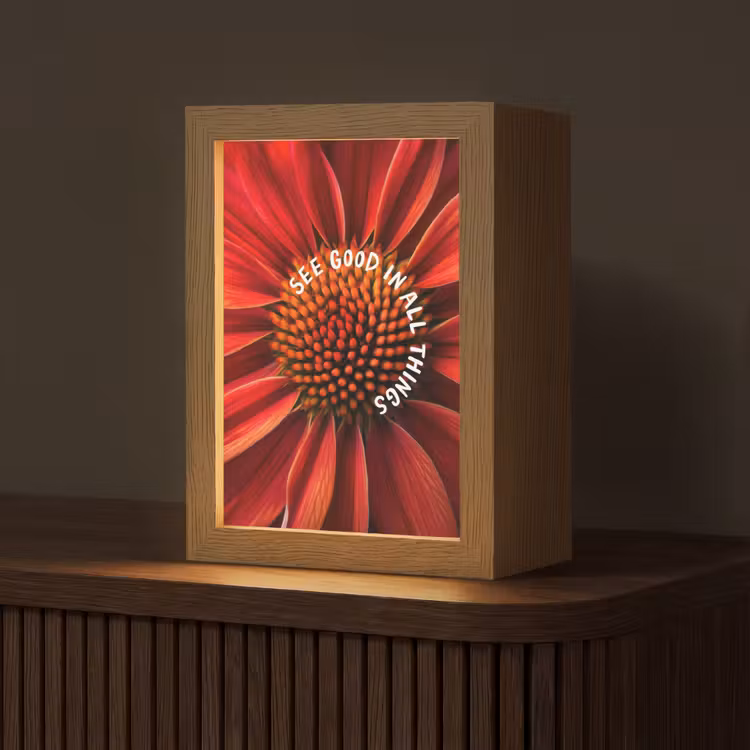 Close up - Bloem - Quote - Rood Light Box met kabel (Tafellamp) klein -z3d_website