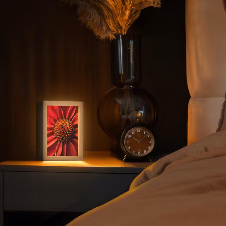 Close up - Bloem- Rood Light Box met kabel (Tafellamp) klein -sfeer1