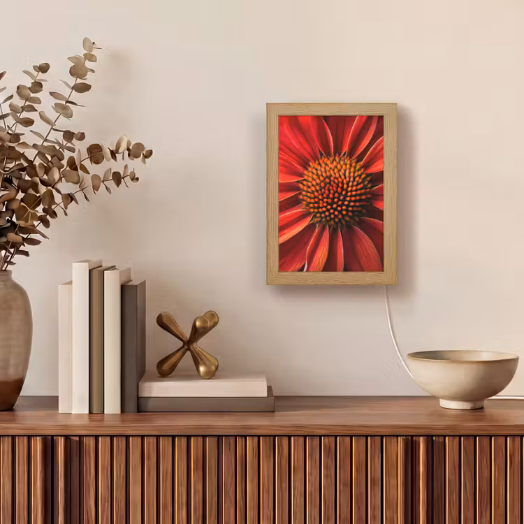 Close up - Bloem- Rood Light Box met kabel (Tafellamp) klein -sfeer2