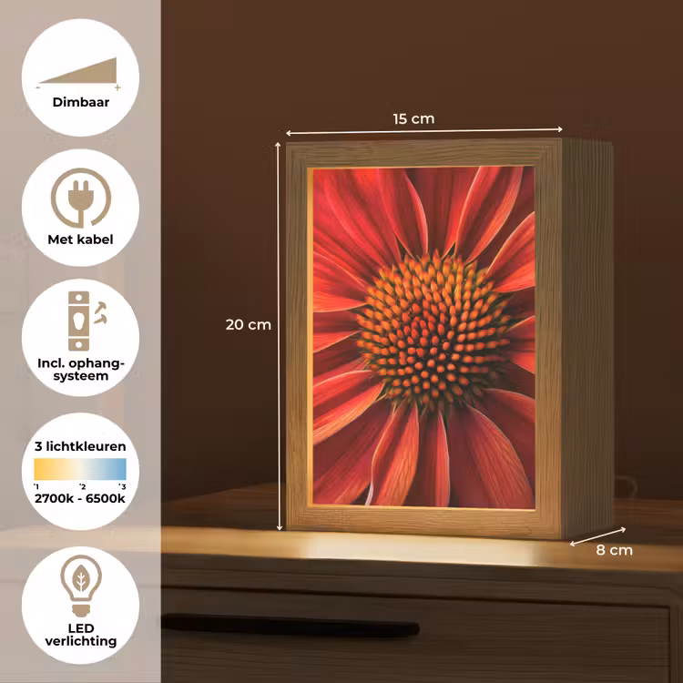 Close up - Bloem- Rood Light Box met kabel (Tafellamp) klein -USP_NL