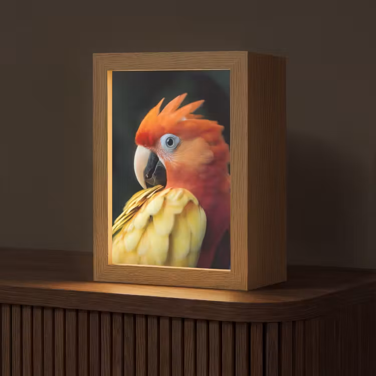 Close-up - Papegaai - Veren - Oranje Light Box met kabel (Tafellamp) klein -z3d_website