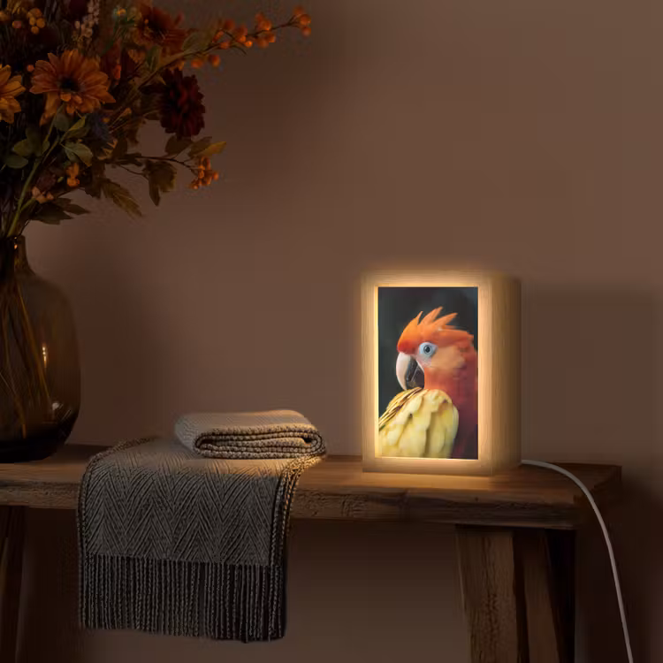 Close-up - Papegaai - Veren - Oranje Light Box met kabel (Tafellamp) klein -sfeer4