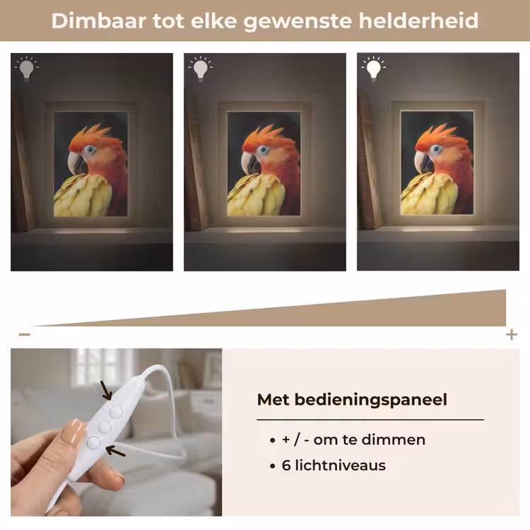 Close-up - Papegaai - Veren - Oranje Light Box met kabel (Tafellamp) klein -USP_dimbaarNL