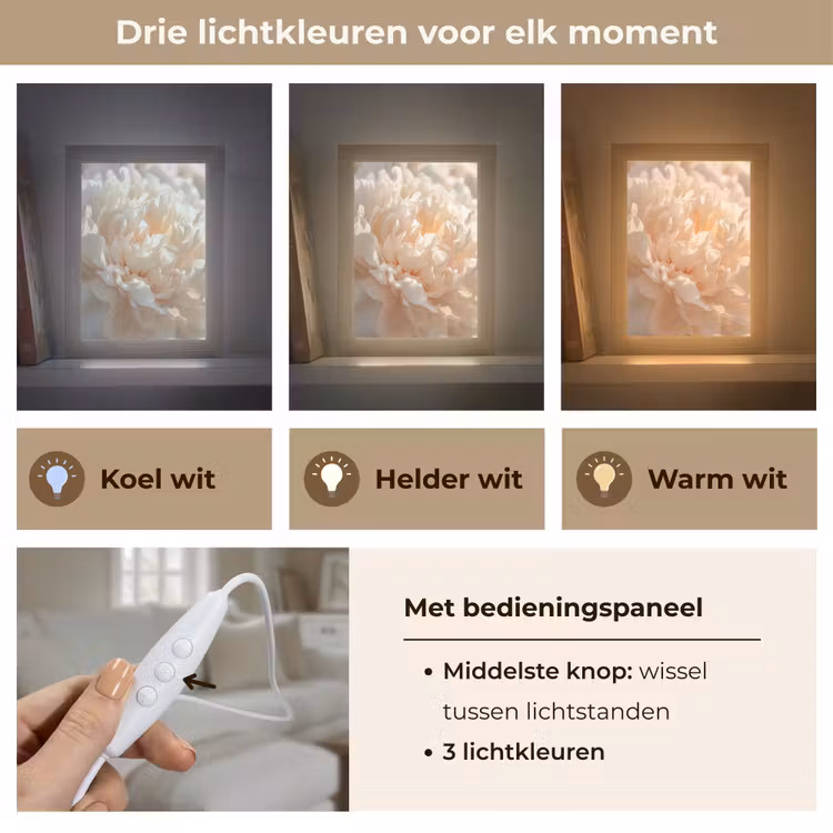 Close up - Pioenroos - Lichtroze Light Box met kabel (Tafellamp) klein -USP_lichtkleurNL