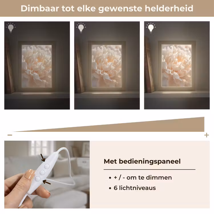 Close up - Pioenroos - Lichtroze Light Box met kabel (Tafellamp) klein -USP_dimbaarNL