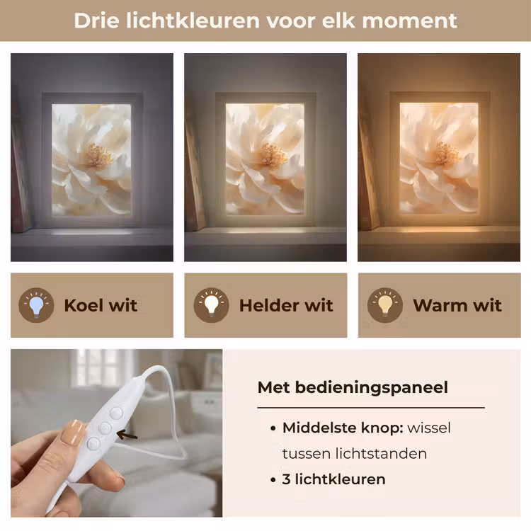 Close up - Pioenroos - Wit Light Box met kabel (Tafellamp) klein -USP_lichtkleurNL