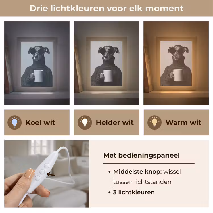 Coltrui - Hond - Bril - Mok Light Box met kabel (Tafellamp) klein -USP_lichtkleurNL