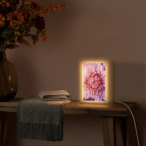 Dahlia - Bloem - Close up - Roze Light Box met kabel (Tafellamp) klein -sfeer4