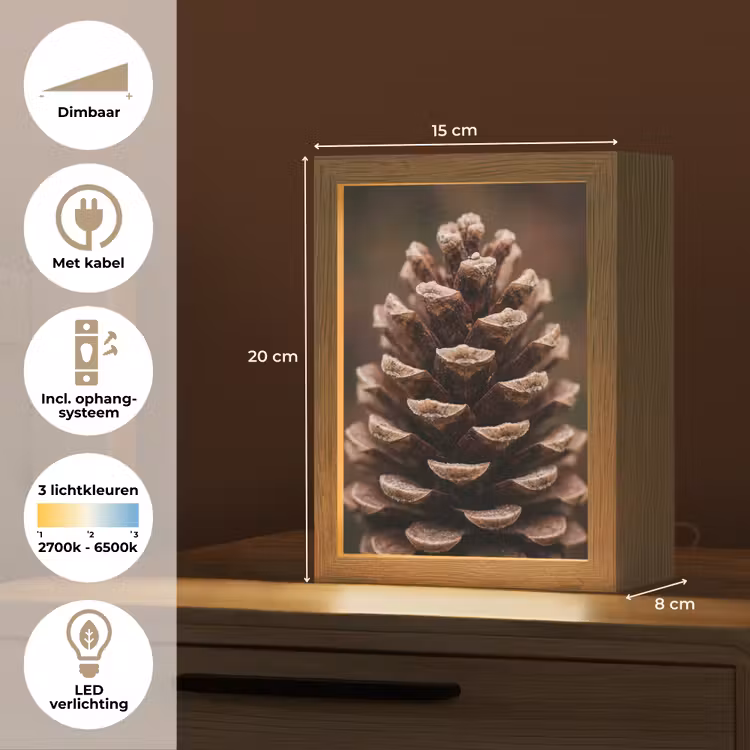 Dennenappel - Bos - Herfst - Bruin - Sfeervol Light Box met kabel (Tafellamp) klein -USP_NL