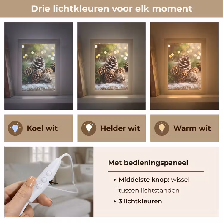 Dennenappels - Kerstsfeer - Bruin - Groen Light Box met kabel (Tafellamp) klein -USP_lichtkleurNL