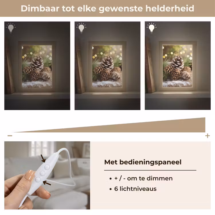 Dennenappels - Kerstsfeer - Bruin - Groen Light Box met kabel (Tafellamp) klein -USP_dimbaarNL