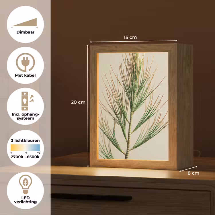Dennentak - Naaldvormige bladeren - Lichtgroen Light Box met kabel (Tafellamp) klein -USP_NL