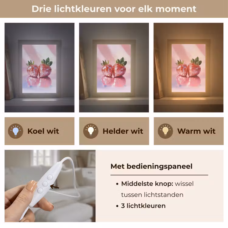 Disco - Fruit - Glitter - Strawberry Light Box met kabel (Tafellamp) klein -USP_lichtkleurNL