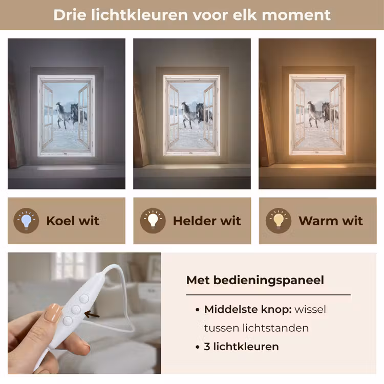 Doorkijk - Paarden - Winter - Dieren - Natuur - Wit Light Box met kabel (Tafellamp) klein -USP_lichtkleurNL