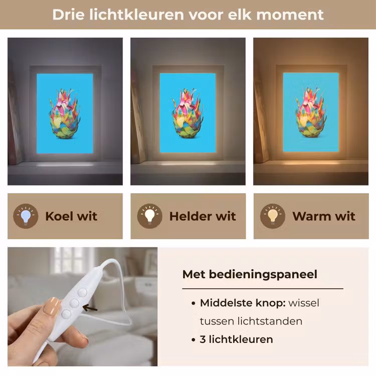Drakenfruit - Blauw - Levendig Light Box met kabel (Tafellamp) klein -USP_lichtkleurNL