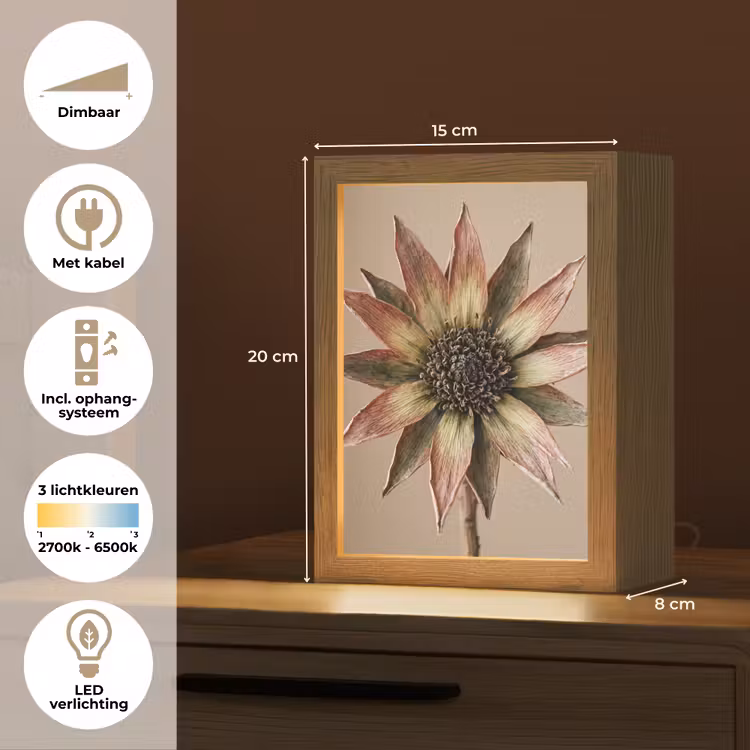 Droogbloem - Protea - Vintage - Beige - Rustiek Light Box met kabel (Tafellamp) klein -USP_NL