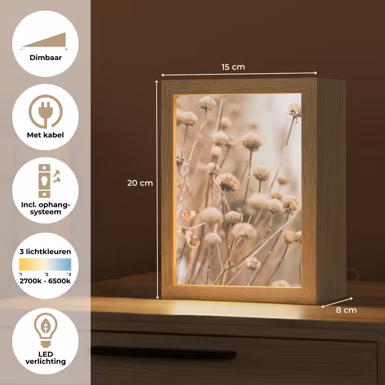 Droogbloemen - Beige - Bloemen - Natuur Light Box met kabel (Tafellamp) klein -USP_NL