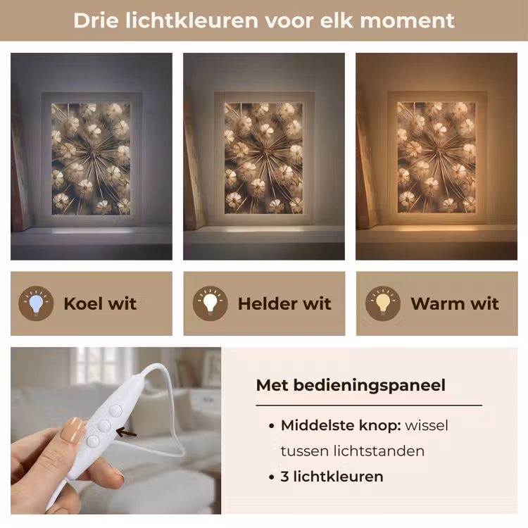 Droogbloemen - Bruin - Natuur Light Box met kabel (Tafellamp) klein -USP_lichtkleurNL