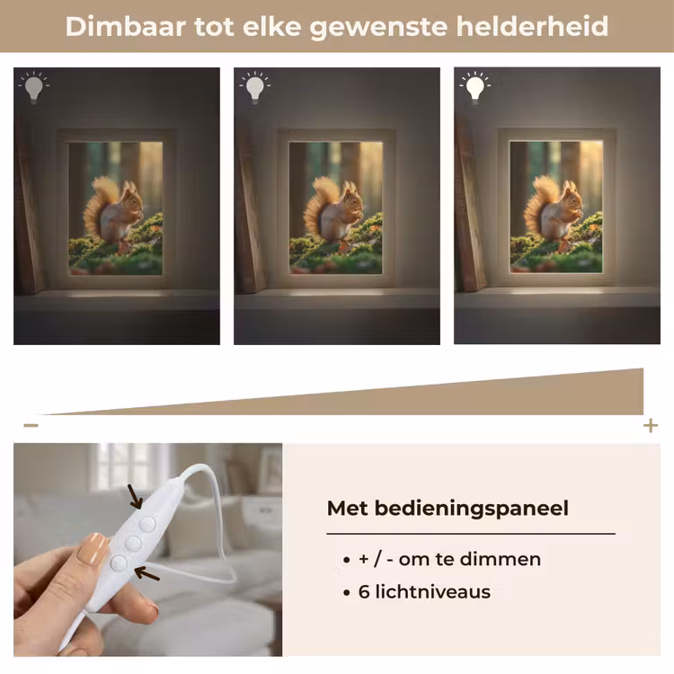 Eekhoorn - Nootje - Gras Light Box met kabel (Tafellamp) klein -USP_dimbaarNL