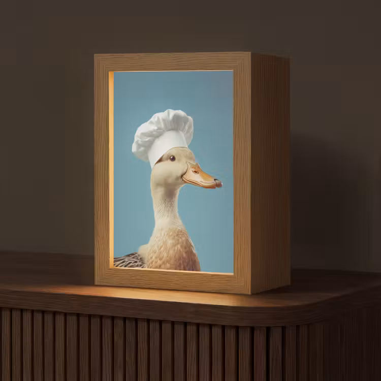 Eend - Koksmuts - Cute - Vogel Light Box met kabel (Tafellamp) klein -z3d_website
