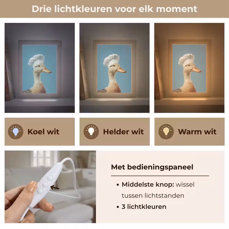 Eend - Koksmuts - Cute - Vogel Light Box met kabel (Tafellamp) klein -USP_lichtkleurNL