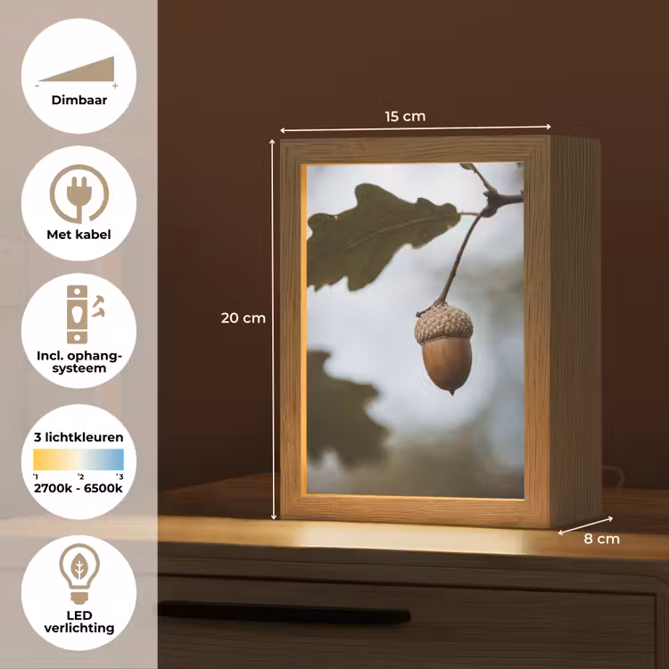 Eikel - Eikenblad - Bos - Herfst - Natuur Light Box met kabel (Tafellamp) klein -USP_NL