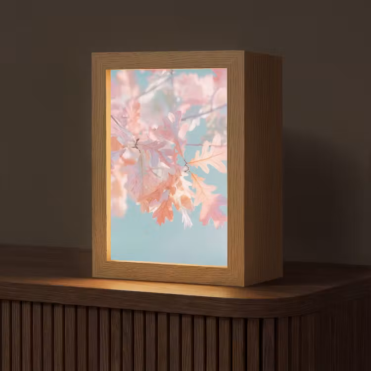Eikenbladeren - Takken - Roze Light Box met kabel (Tafellamp) klein -z3d_website