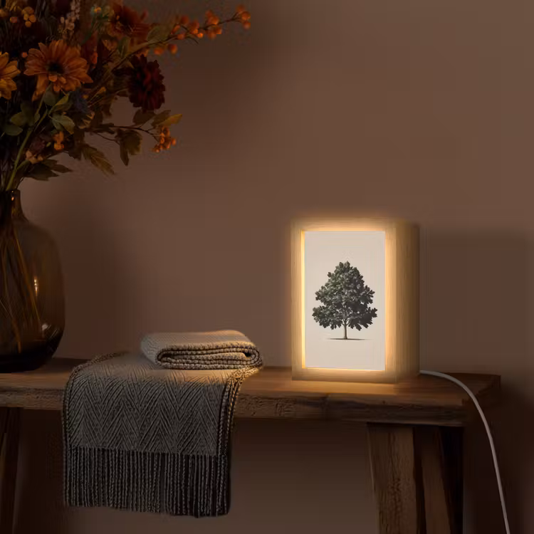 Eikenboom - Schaduw - Egaal Light Box met kabel (Tafellamp) klein -sfeer4