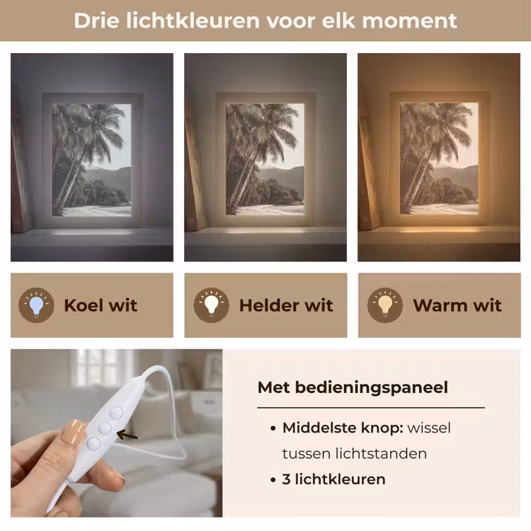 Eiland - Palmboom - Zee Light Box met kabel (Tafellamp) klein -USP_lichtkleurNL