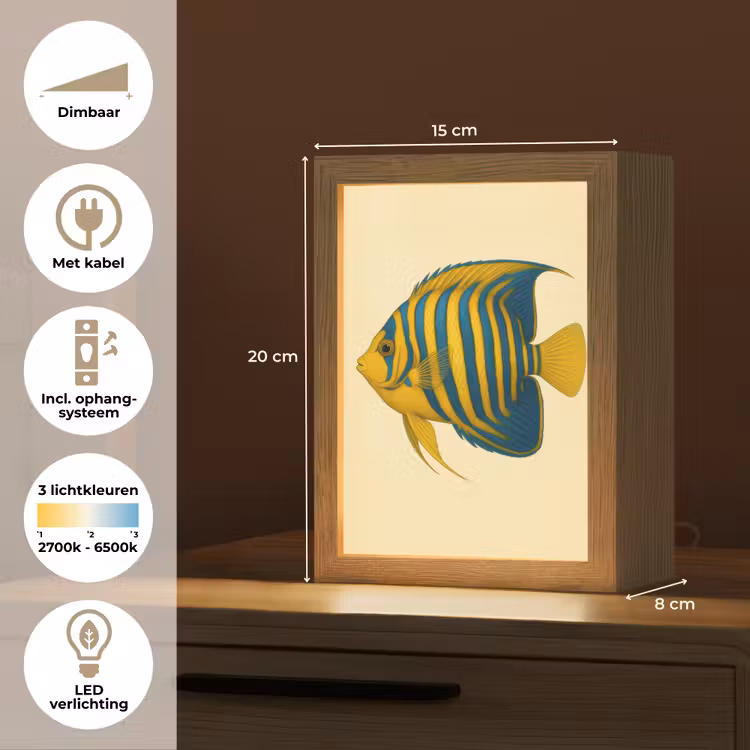 Felgeel - Vis - Strepen - Vinnen Light Box met kabel (Tafellamp) klein -USP_NL