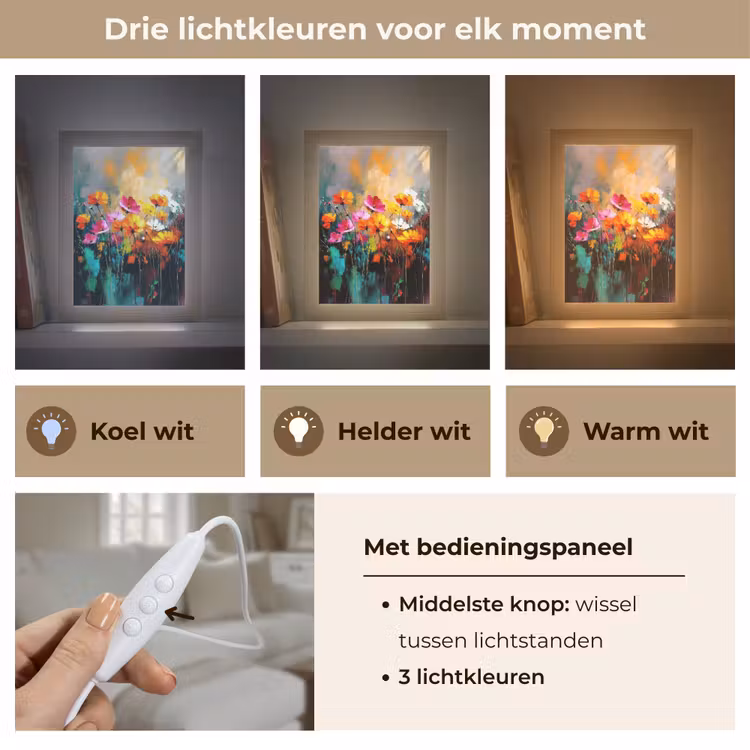 Felgekleurd - Bloemblaadjes - Abstract Light Box met kabel (Tafellamp) klein -USP_lichtkleurNL