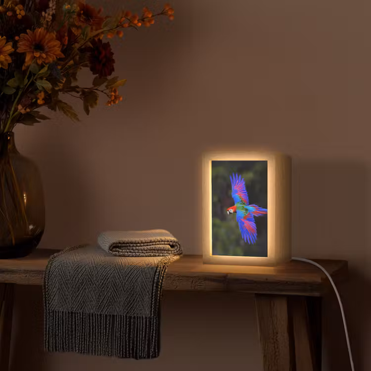 Felgekleurd - Papegaai - Bos - Vleugels Light Box met kabel (Tafellamp) klein -sfeer4