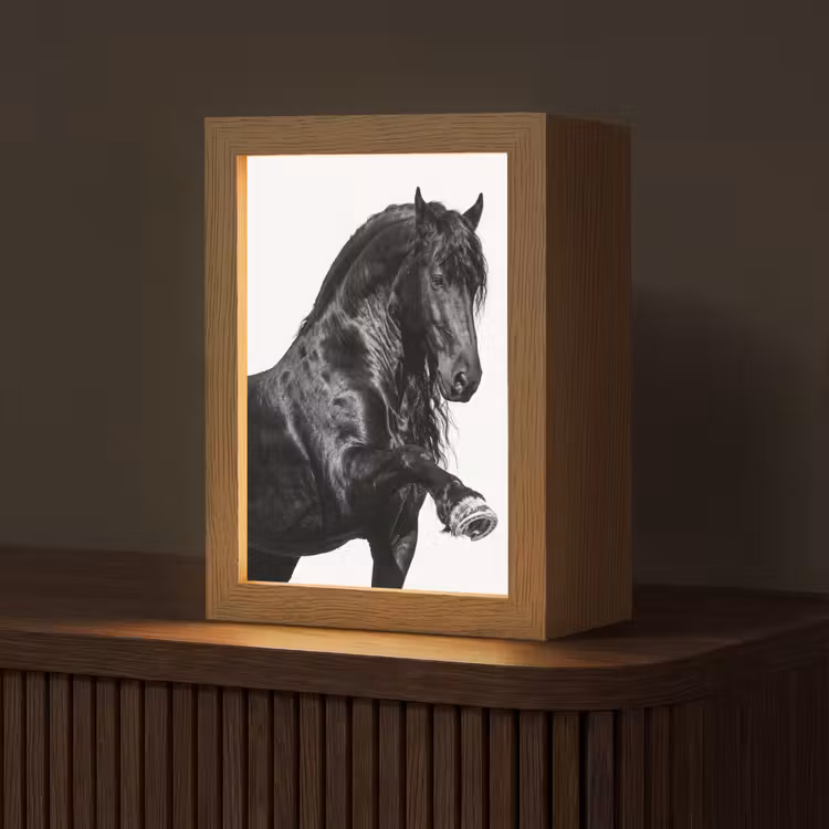 Fries - Hengst - Modern Light Box met kabel (Tafellamp) klein -z3d_website