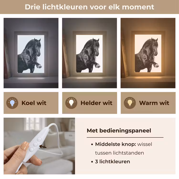 Fries - Hengst - Modern Light Box met kabel (Tafellamp) klein -USP_lichtkleurNL