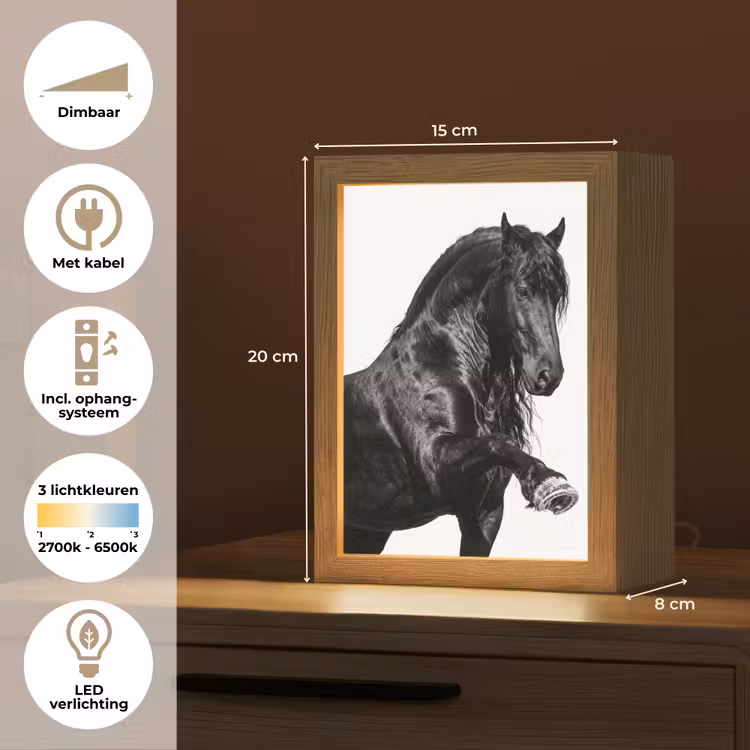 Fries - Hengst - Modern Light Box met kabel (Tafellamp) klein -USP_NL