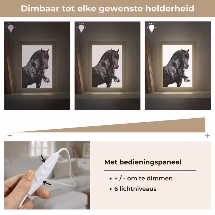 Fries - Hengst - Modern Light Box met kabel (Tafellamp) klein -USP_dimbaarNL