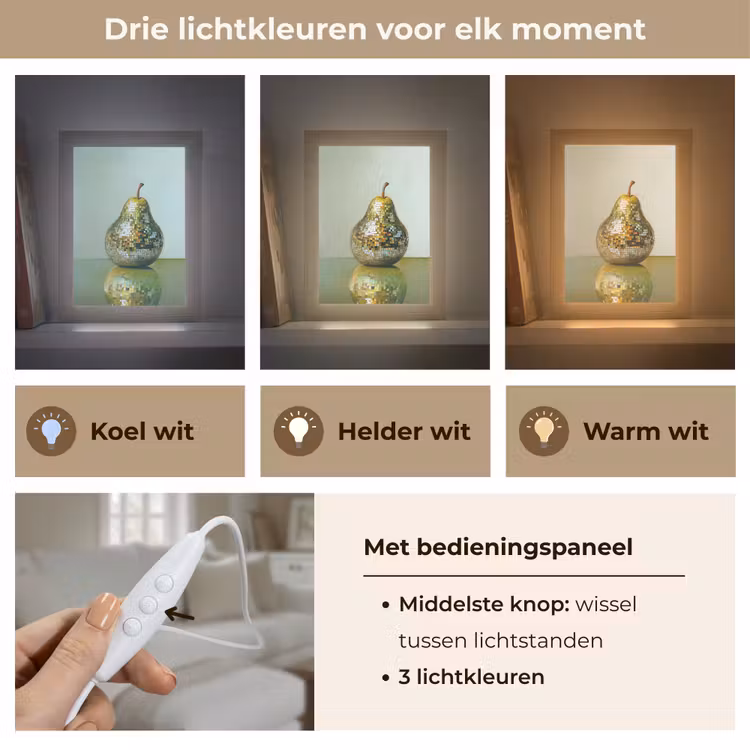Fruit - Disco - Art - Glitter Light Box met kabel (Tafellamp) klein -USP_lichtkleurNL