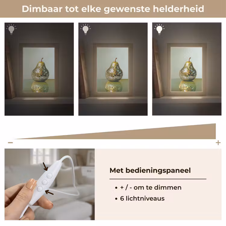 Fruit - Disco - Art - Glitter Light Box met kabel (Tafellamp) klein -USP_dimbaarNL
